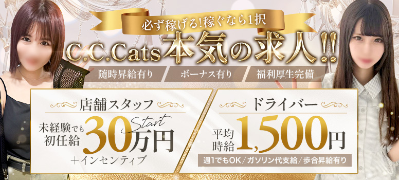 C.C.Cats（シーシーキャッツ）