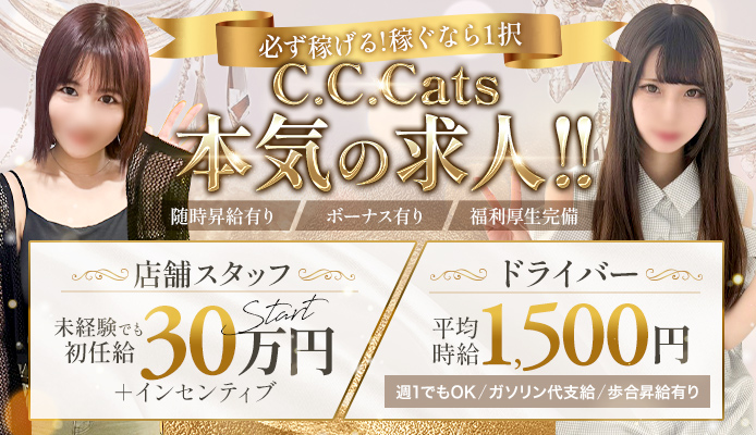 C.C.Cats（シーシーキャッツ）